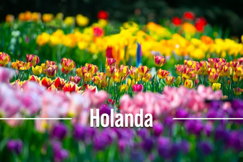 Holanda