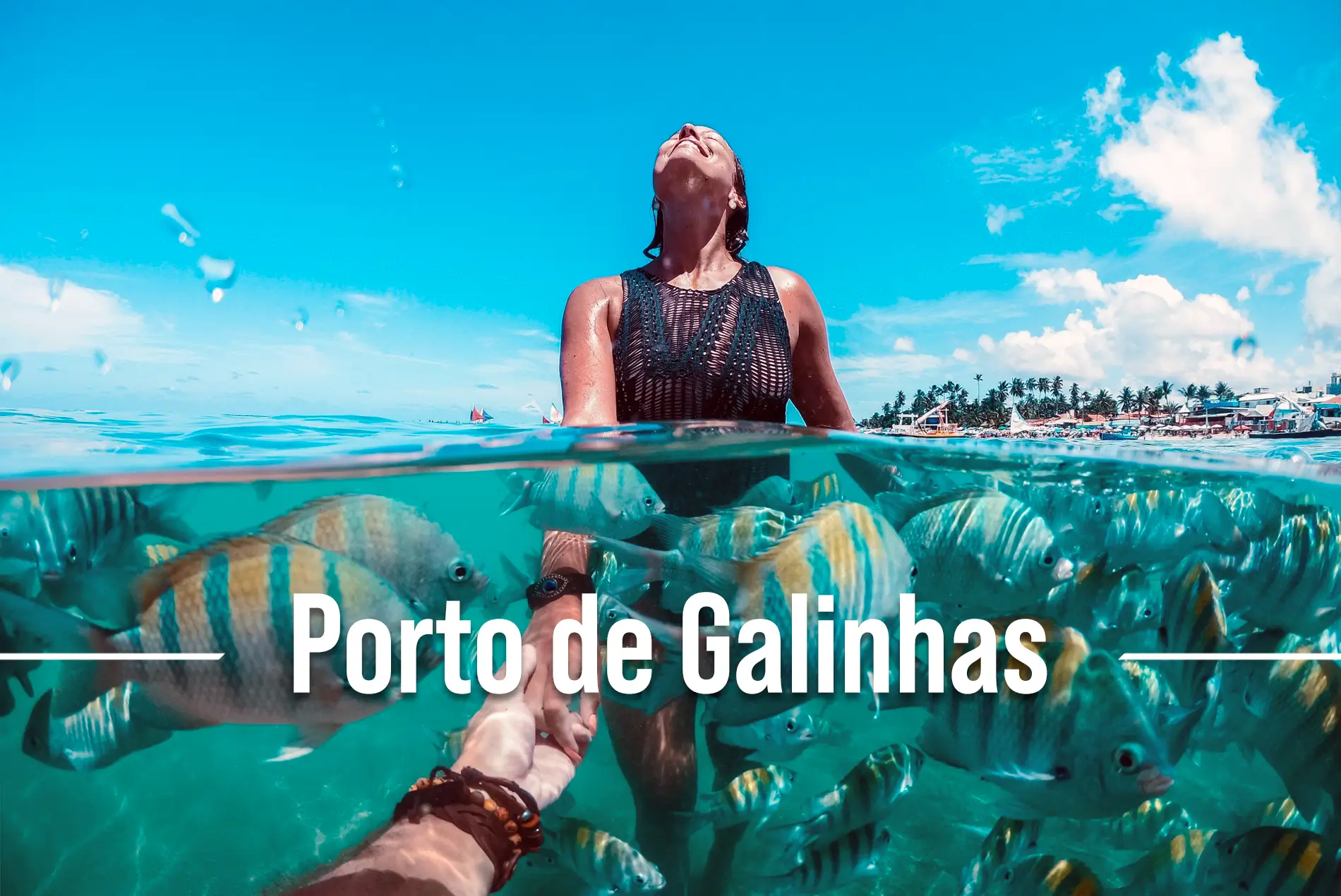 Porto de galinhas